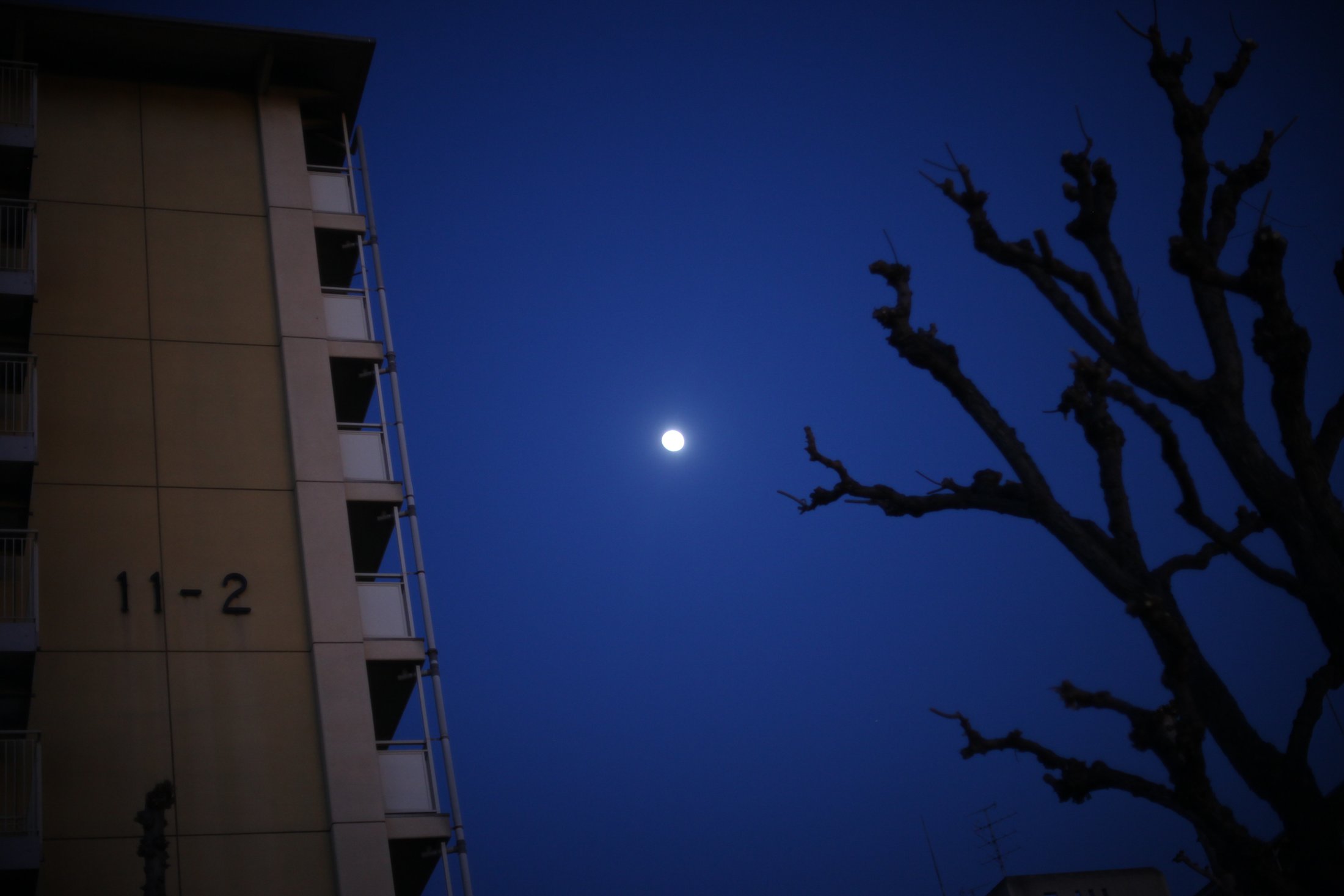Mukijima Projects, Kyoto 2010