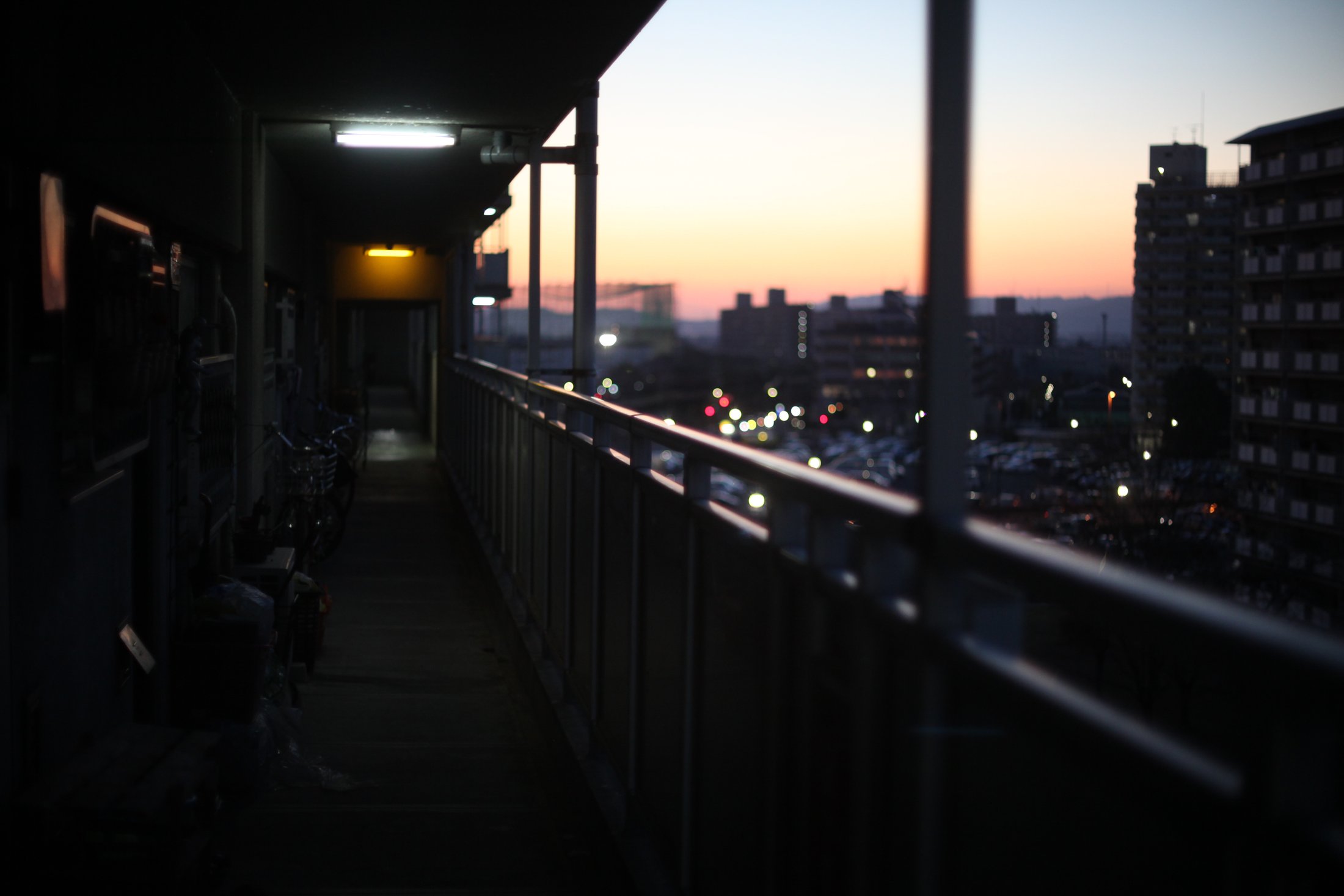 Mukaijima, Kyoto 2014