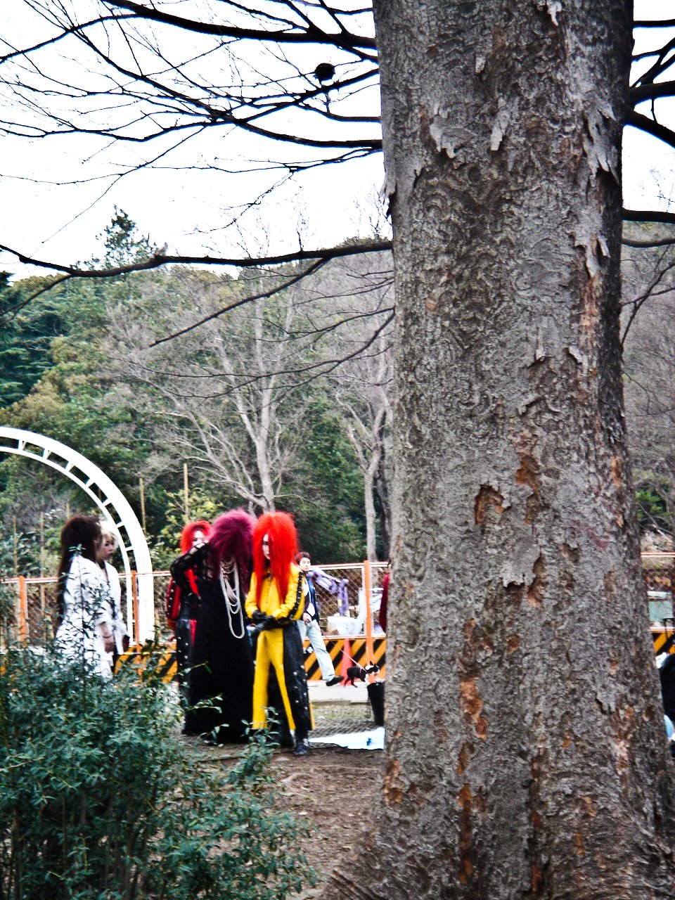 Yoyogi Koen, 2005